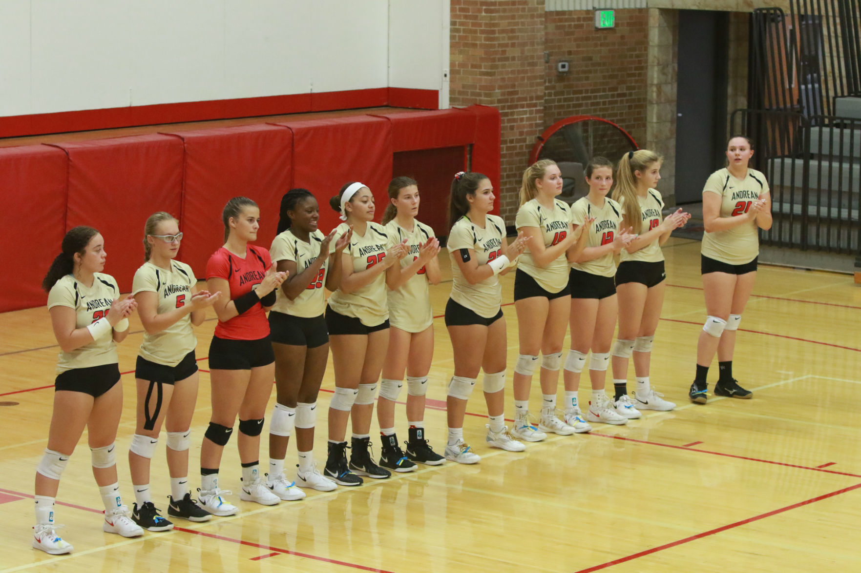 Gallery: Girls volleyball - Wheeler at Andrean